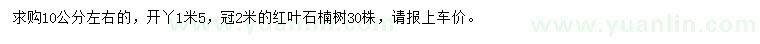 求購10公分紅葉石楠