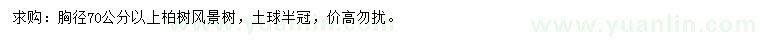 求購(gòu)胸徑70公分以上柏樹風(fēng)景樹