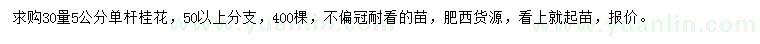 求購30量5公分單桿桂花