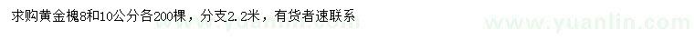 求購8、10公分黃金槐