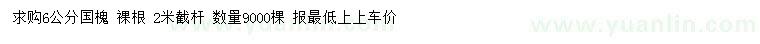 求購6公分國槐