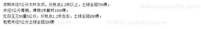 求購大葉女貞、青桐、紅白玉蘭等