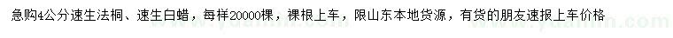 求購(gòu)4公分速生法桐、速生白蠟