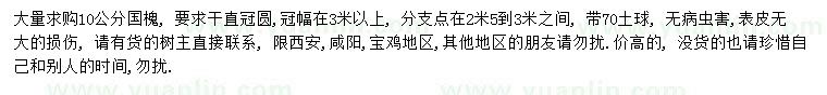 求購10公分國槐