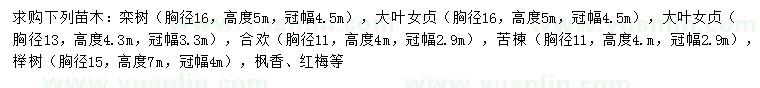 求購(gòu)欒樹、大葉女貞、合歡等