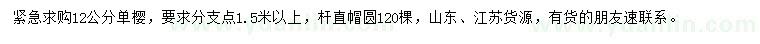 求購12公分單櫻