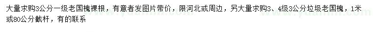 求購3公分老國槐