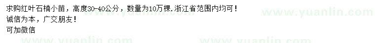 求購高30-40公分紅葉石楠