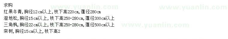 求購紅果冬青、濕地松、三角楓等