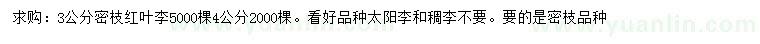 求購3公分紅葉李