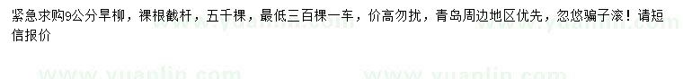 求購9公分旱柳