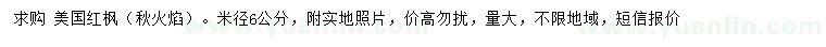 求購米徑6公分美國紅楓