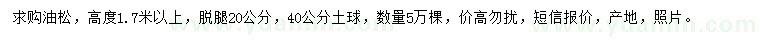 求購高1.7米以上油松