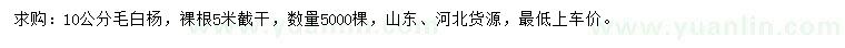 求購(gòu)10公分毛白楊