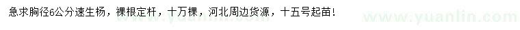 求購(gòu)胸徑6公分速生楊