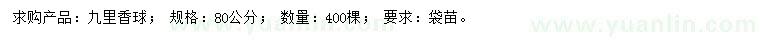 求購80公分九里香球