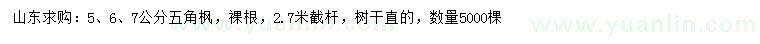 求購5、6、7公分五角楓