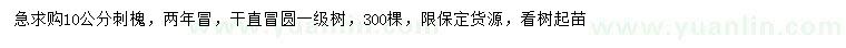 求購10公分刺槐