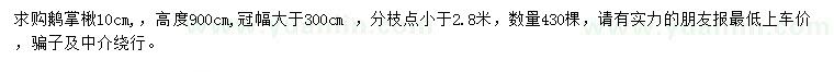 求購10公分鵝掌楸