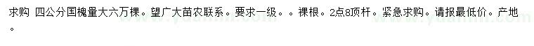 求購4公分國槐