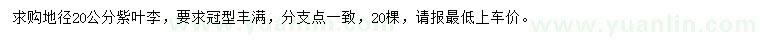 求購地徑20公分紫葉李