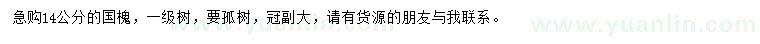 求購14公分國槐