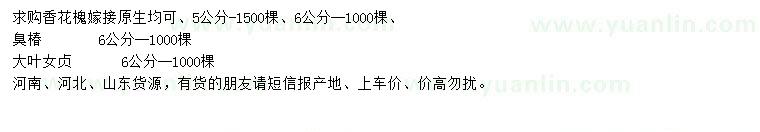 求購香花槐、臭椿、大葉女貞