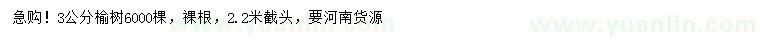 求購3公分榆樹