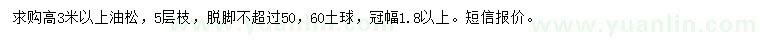 求購高3米以上油松