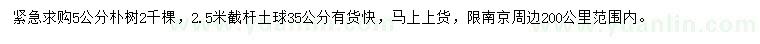 求購(gòu)5公分樸樹(shù)