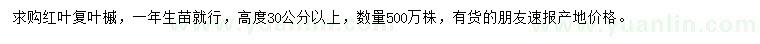 求購(gòu)高30公分以上紅葉復(fù)葉槭