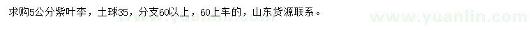 求購5公分紫葉李
