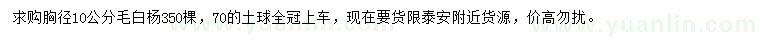 求購胸徑10公分毛白楊