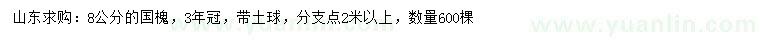 求購(gòu)8公分國(guó)槐