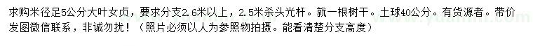 求購米徑5公分大葉女貞