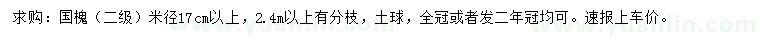 求購米徑17公分以上國槐