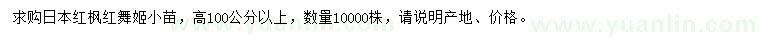 求購高100公分以上日本紅楓