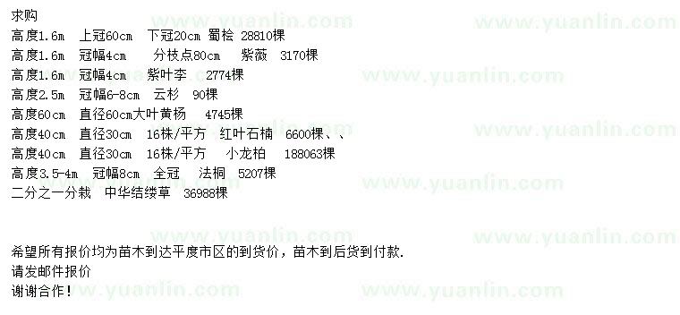 求購(gòu)蜀檜、紫薇、紫葉李等