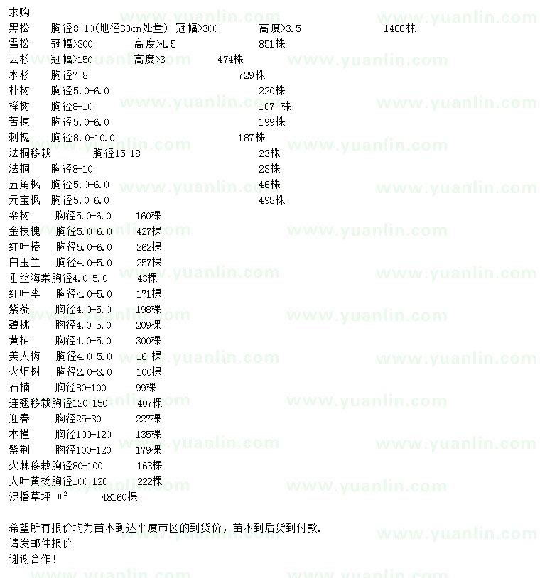 求購黑松、雪松、云杉等