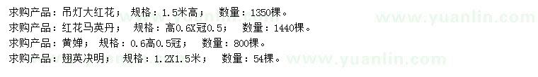 求購(gòu)吊燈大紅花、紅花馬英丹、黃嬋等