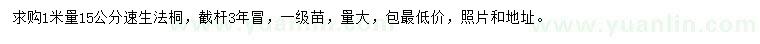 求購1米量15公分速生法桐