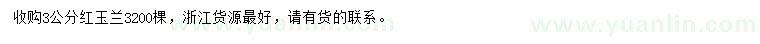 求購3公分紅玉蘭