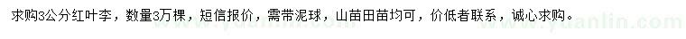 求購3公分紅葉李