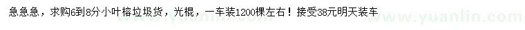 求購(gòu)6-8分小葉榕