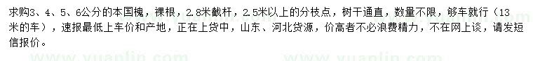 求購3、4、5、6公分本國槐