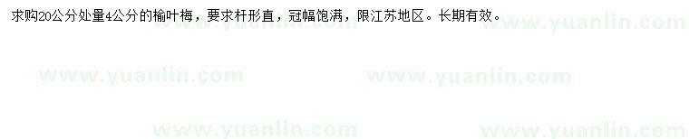 求購(gòu)20公分量4公分榆葉梅