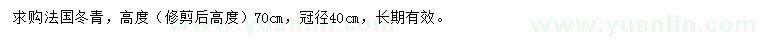 求購高70公分法國冬青
