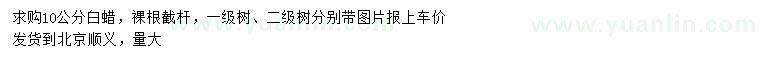 求購(gòu)10公分白蠟
