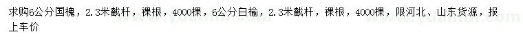 求購6公分國槐、白榆
