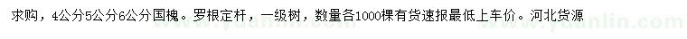 求購4、5、6公分國槐